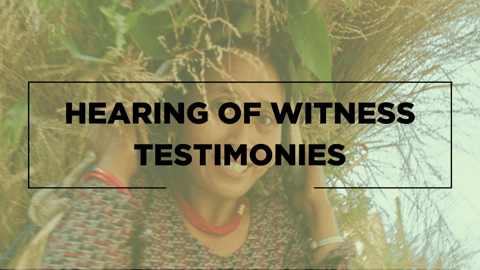 Hearing of Witness Testimonies