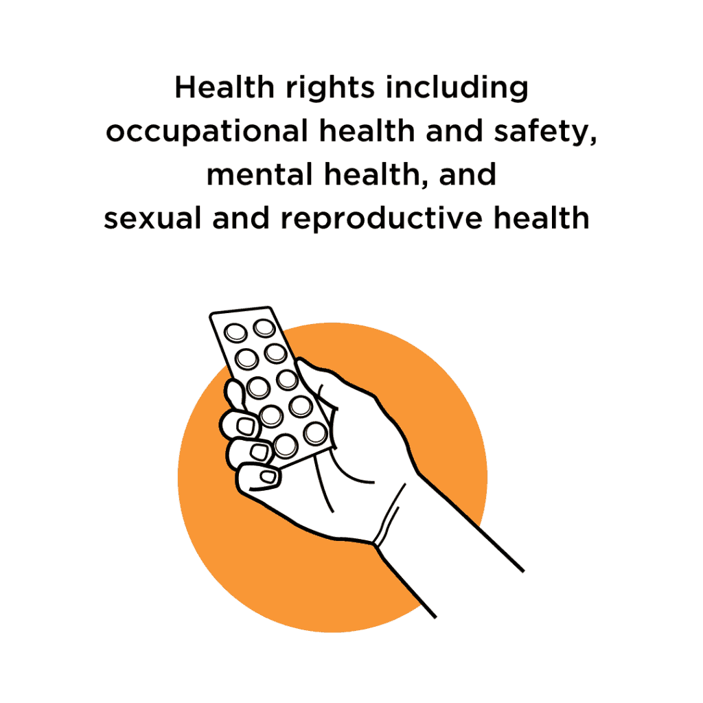 Health rights including occupational health and safety, mental health, and sexual and reproductive health.